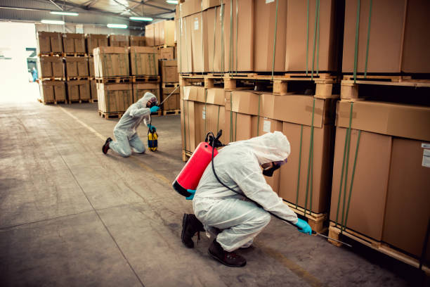 Best Bed Bug Extermination  in Alpine, NJ