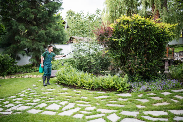 Best Pest Control Near Me  in Alpine, NJ