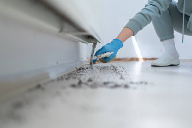 Wasp Removal Services in Alpine, NJ