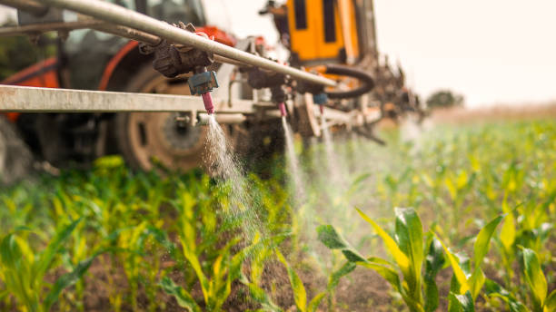 Reliable Alpine, NJ Pest Control Solutions
