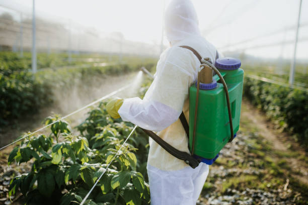 Pest Control for Restaurants in Alpine, NJ